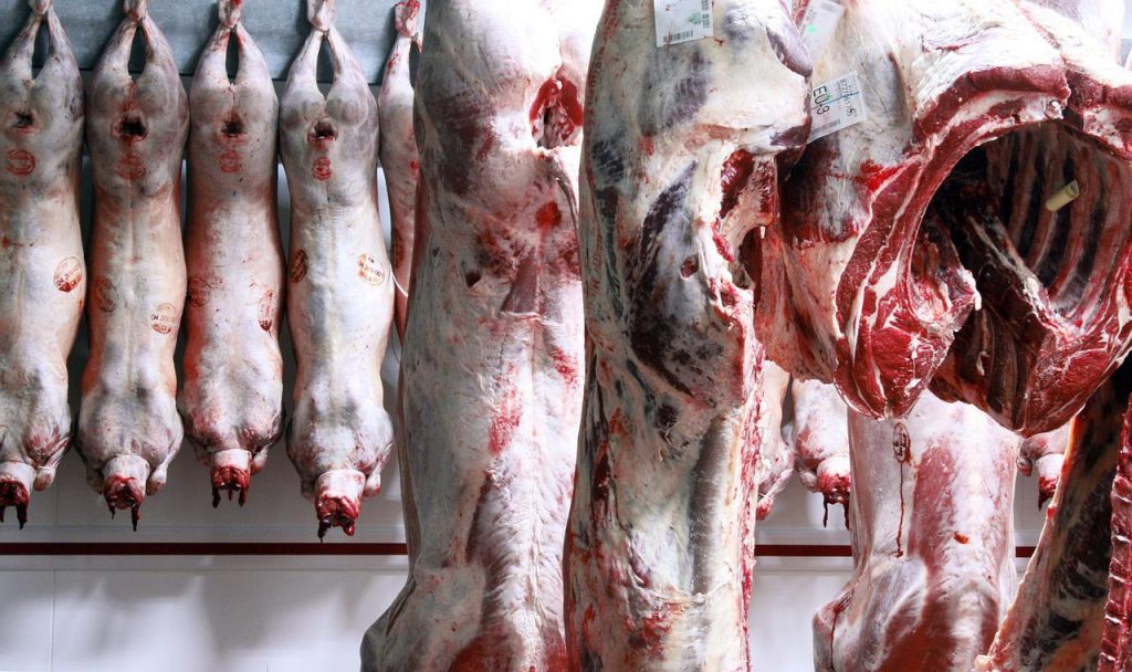 animal, carcass, cold room-3324798.jpg
